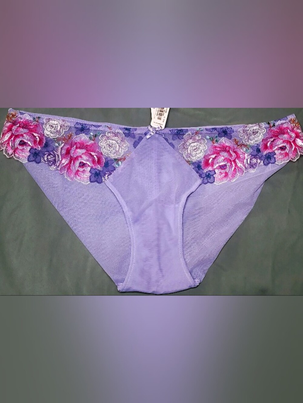VS Dream Angels Floral Embroidery Cheekini Panty In Electric Blooms Small NWT